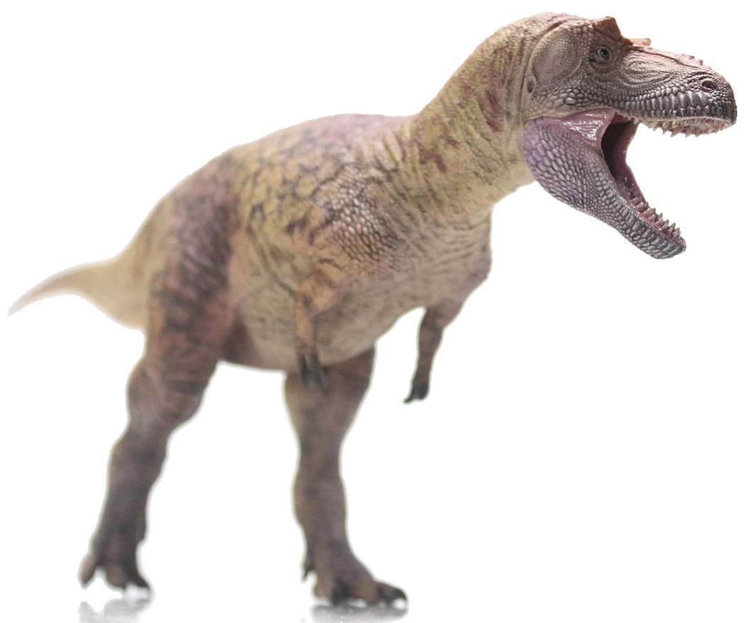 Daspletosaurus torosus - Lu zhi sheng (Haolonggood)
