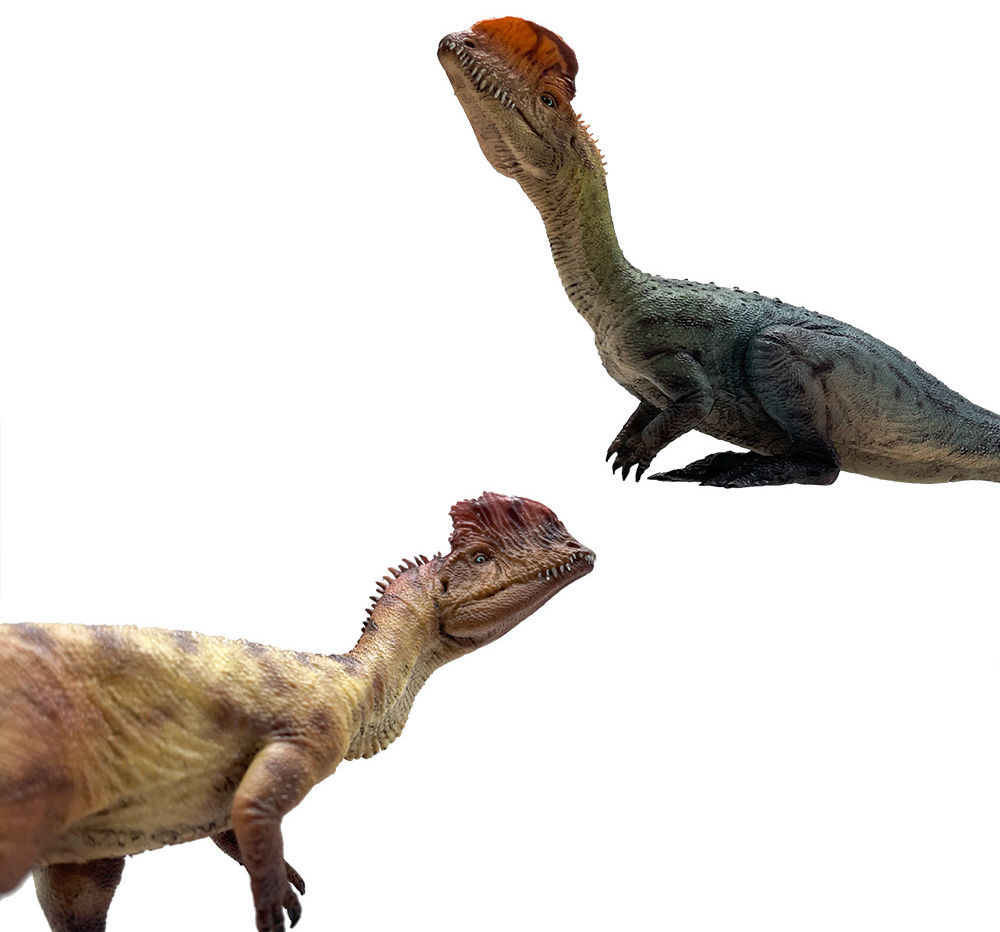 thumbnail image 2 of HAOLONGGOOD Dilophosaurus 1:35 Scale Model – Scientific & Artistic Dinosaur Figure, Two Poses (Standing & Sitting), Educational Gift 2 of 13