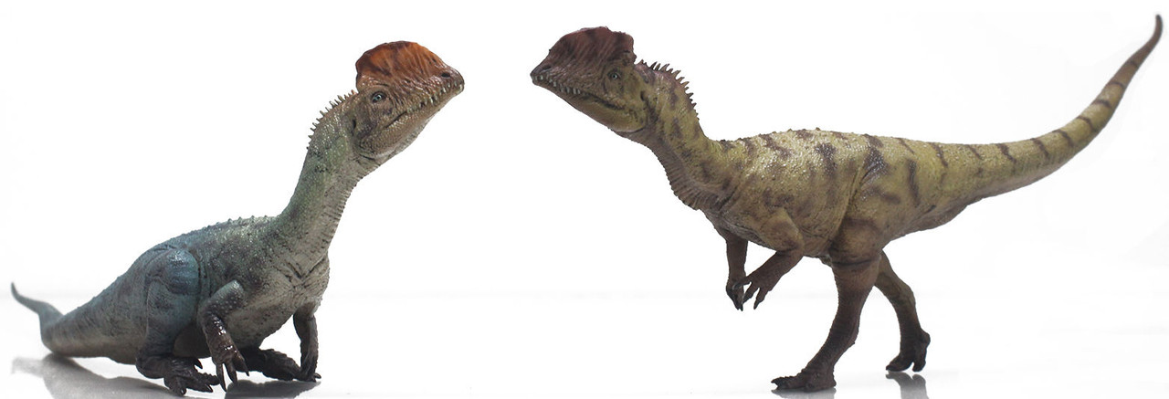 thumbnail image 2 of HAOLONGGOOD Dilophosaurus 1:35 Scale Model – Scientific & Artistic Dinosaur Figure, Two Poses (Standing & Sitting), Educational Gift 2 of 13