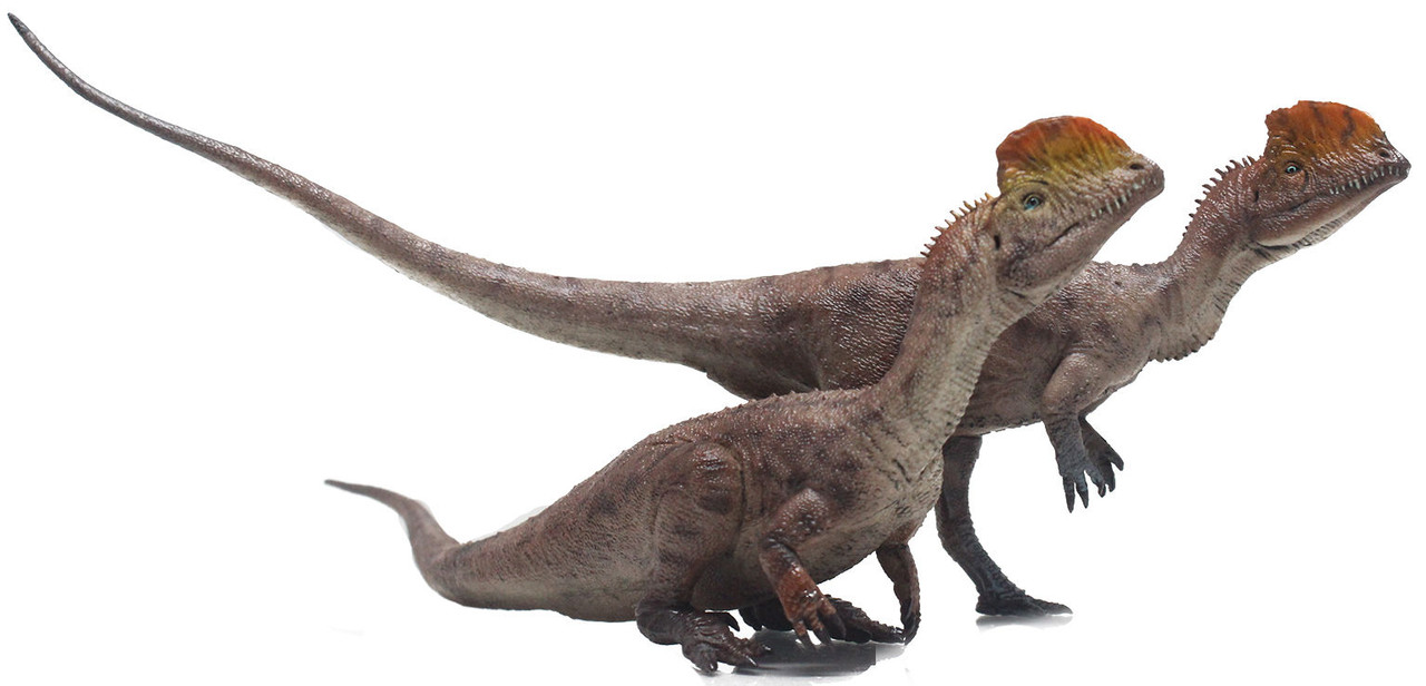 Dilophosaurus - Sun xin & Gu da sao (Haolonggood)