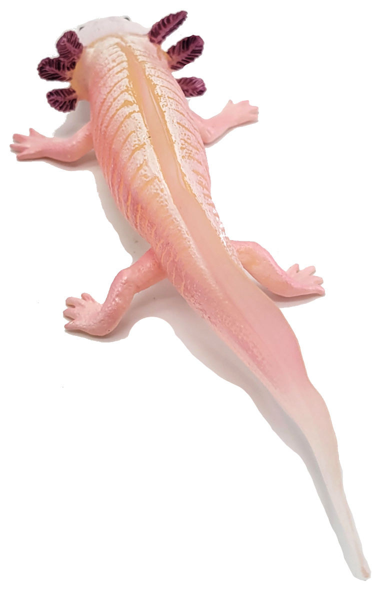 zzAxolotl (Safari Ltd.)