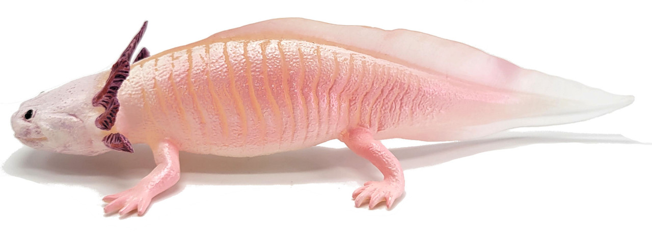 その他 PATRICK AXOLOTL GID SPECIAL EDITION zzAxolotl (Safari Ltd.)