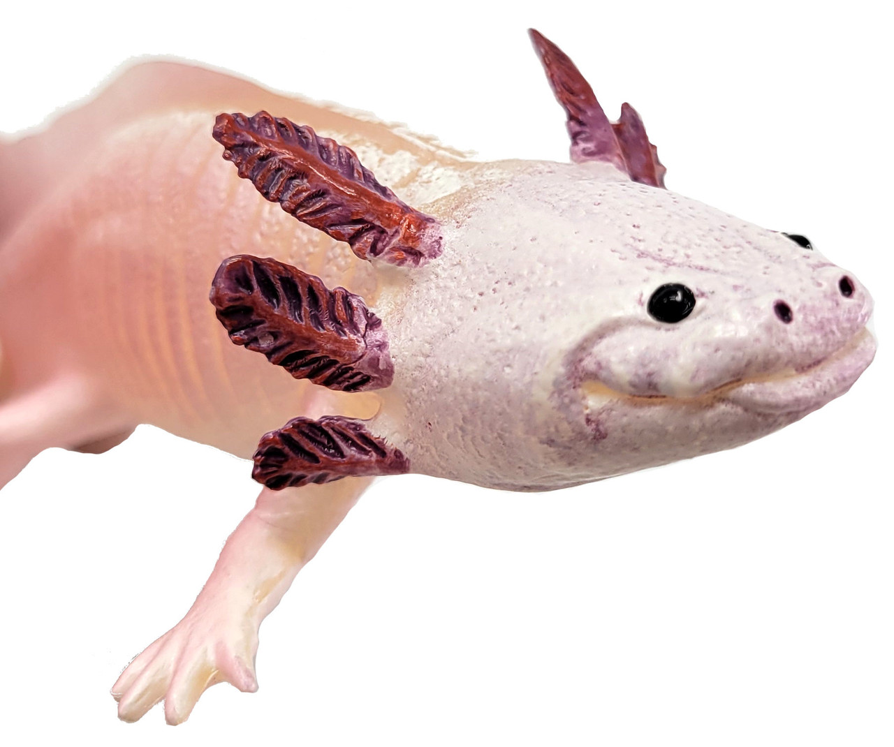 safari-ltd-104-650-axolotl-