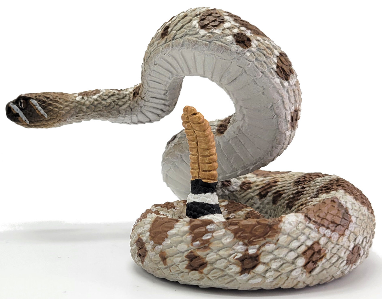 (売り切り最終価格)STAR OF HOLLYWOOD Rattle Snake Amazon.com: Safari Ltd. Western Diamondback Rattlesnake