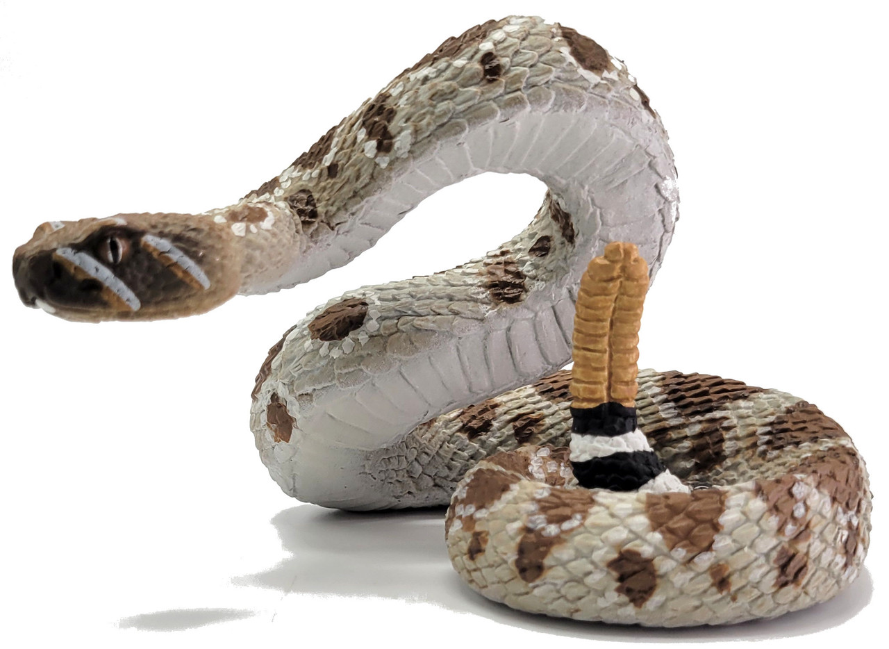 Rattlesnake | National Geographic - View #2