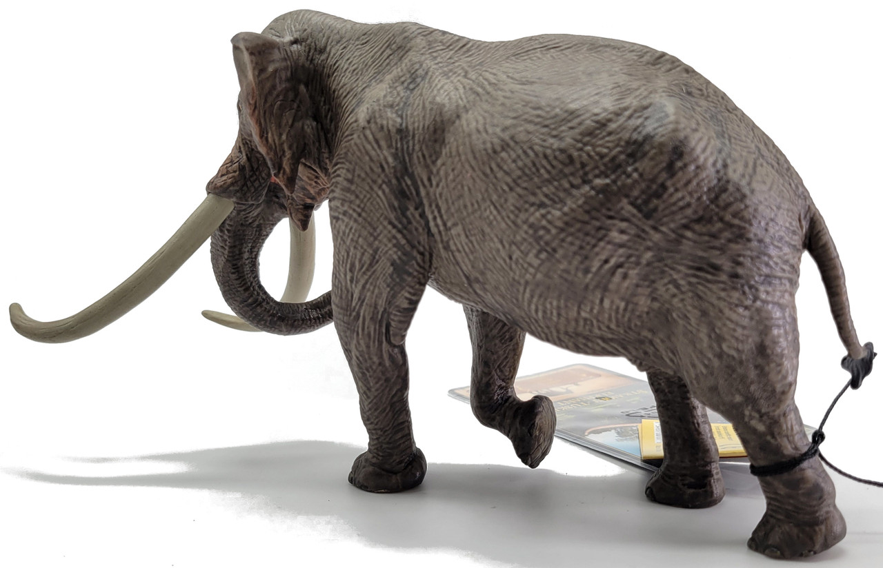 Palaeoloxodon - Straight-tusked elephant (EoFauna)