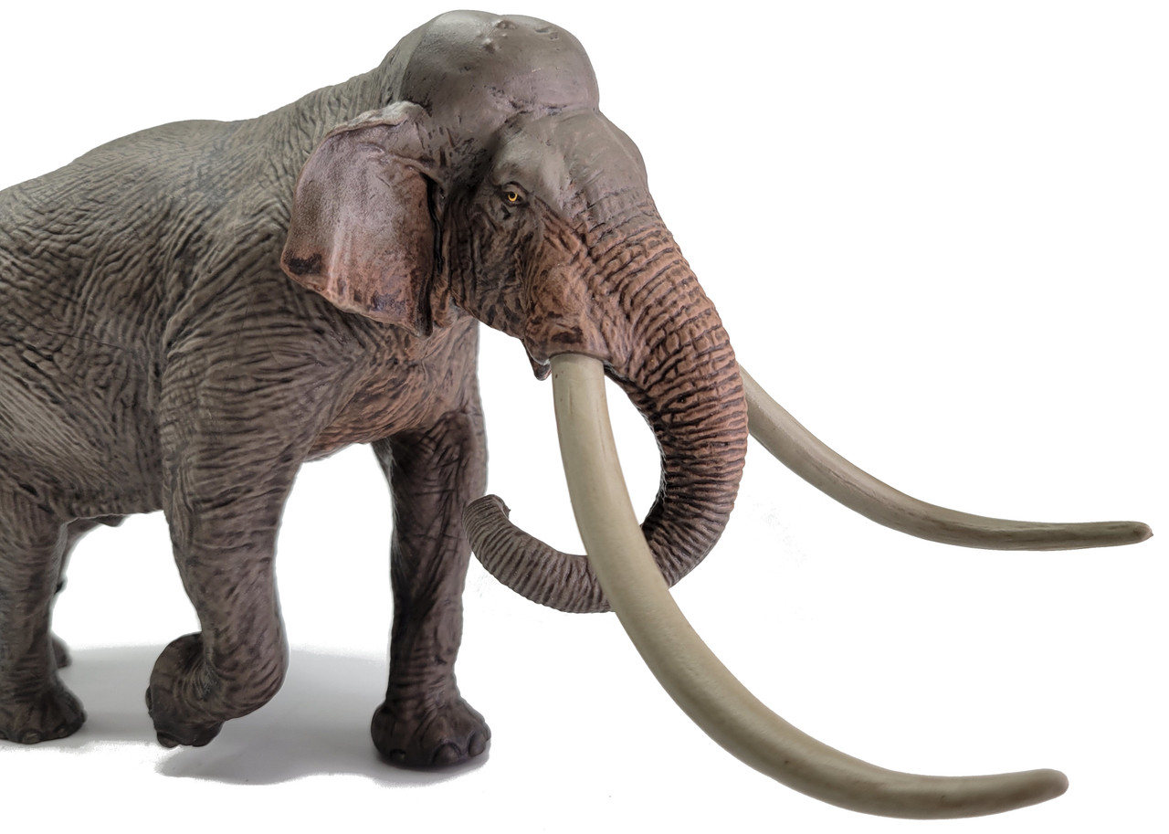 Eofauna Straight-Tusked Elephant main image 1