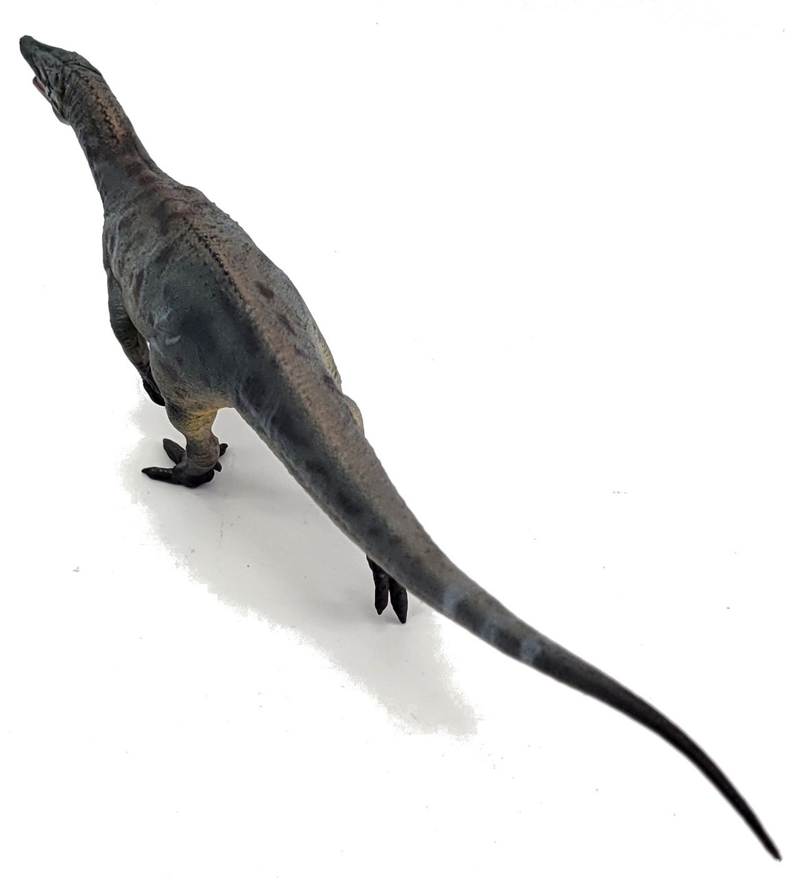 Maniraptor Sciency Thoughts: The Ashdown Maniraptoran