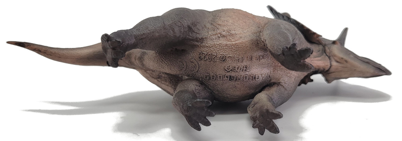 Kosmoceratops - Cai Fu (Haolonggood)