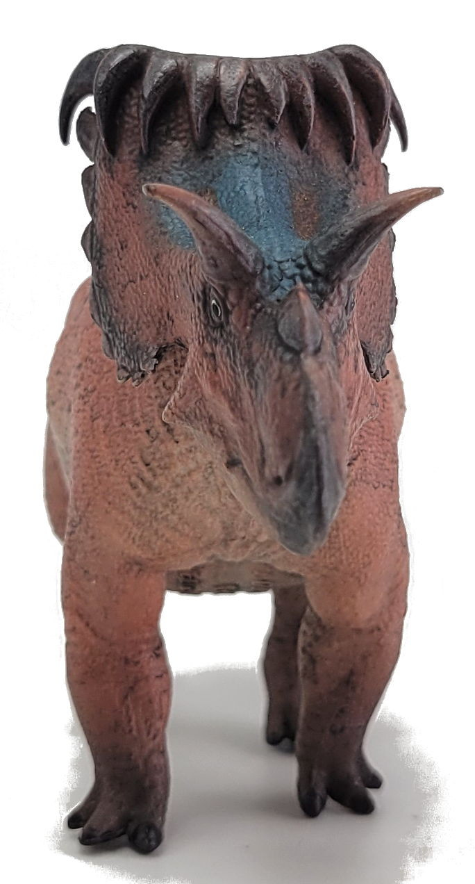 Kosmoceratops - Cai Qing (Haolonggood)