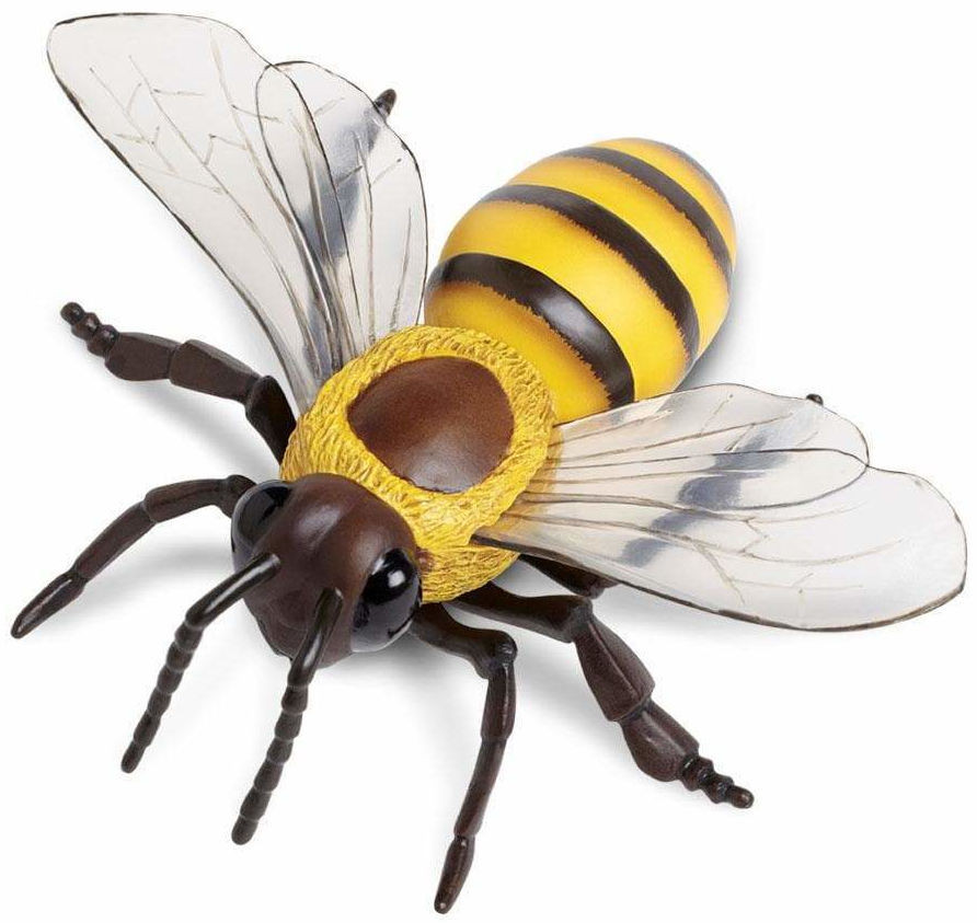 Safari Ltd Honey Bee #268229 - Incredible Creatures