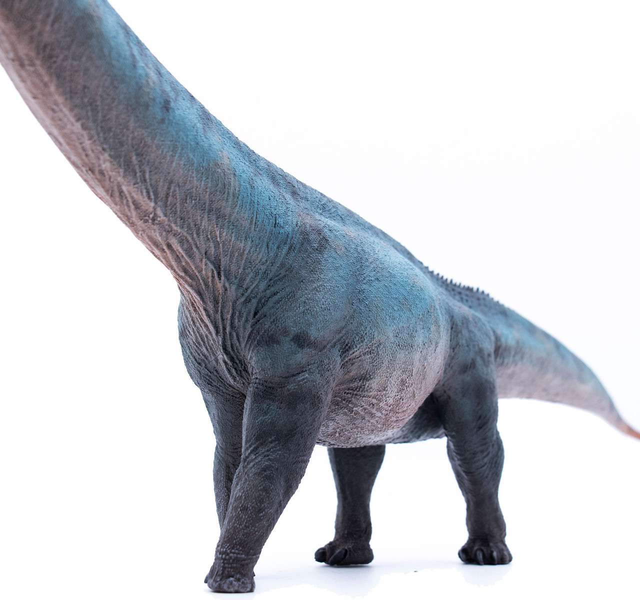 【mamomamo】 Mamenchisaurus - Heterochromatic (Haolonggood)