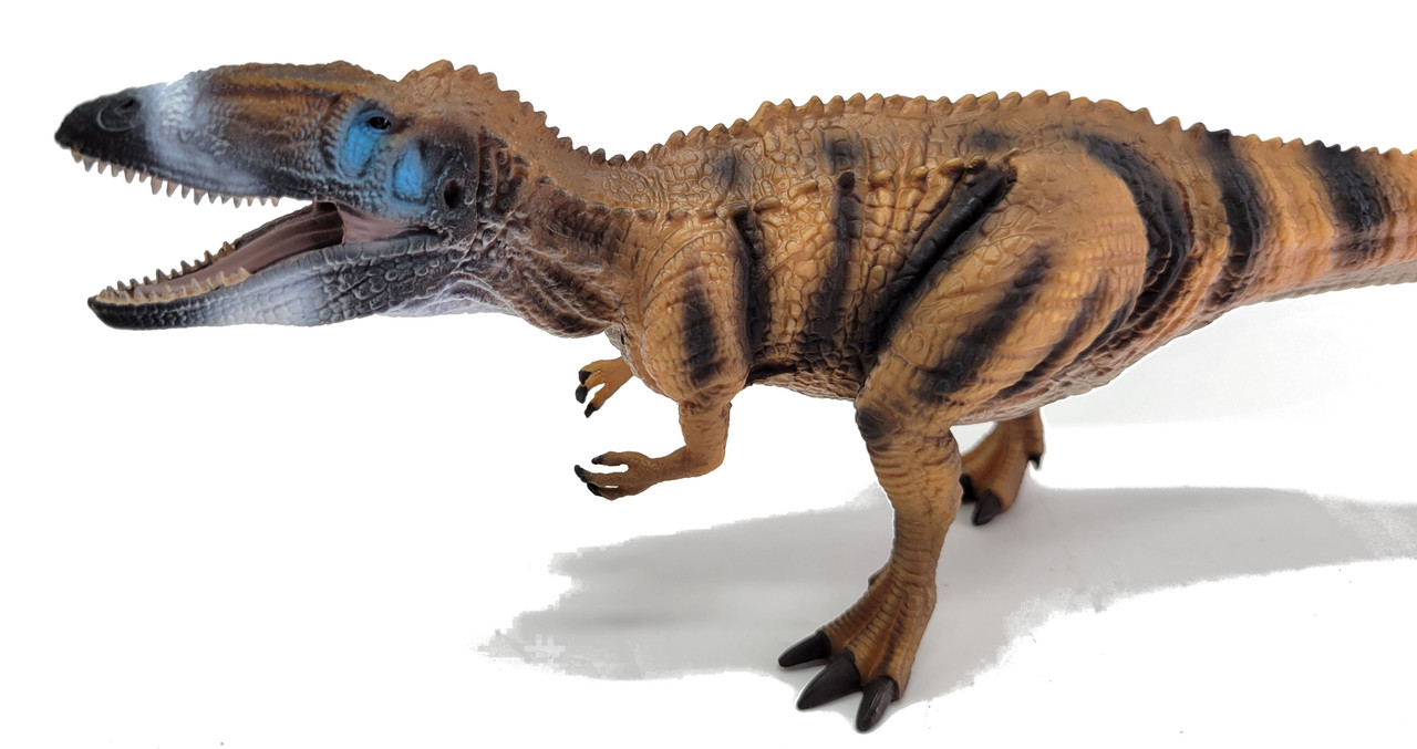 Carcharodontosaurus - Deluxe #88642 (CollectA)