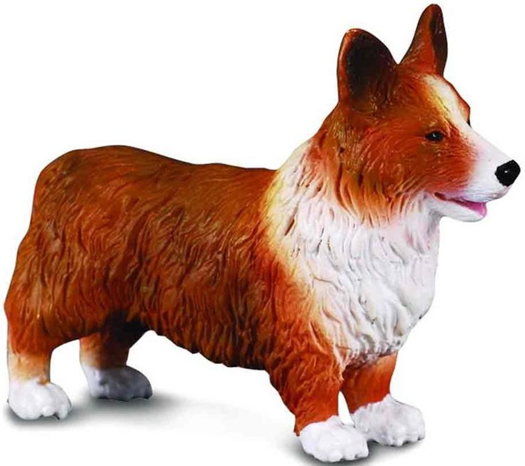 CollectA Welsh Corgi #88082 - Delightful Little Doggie