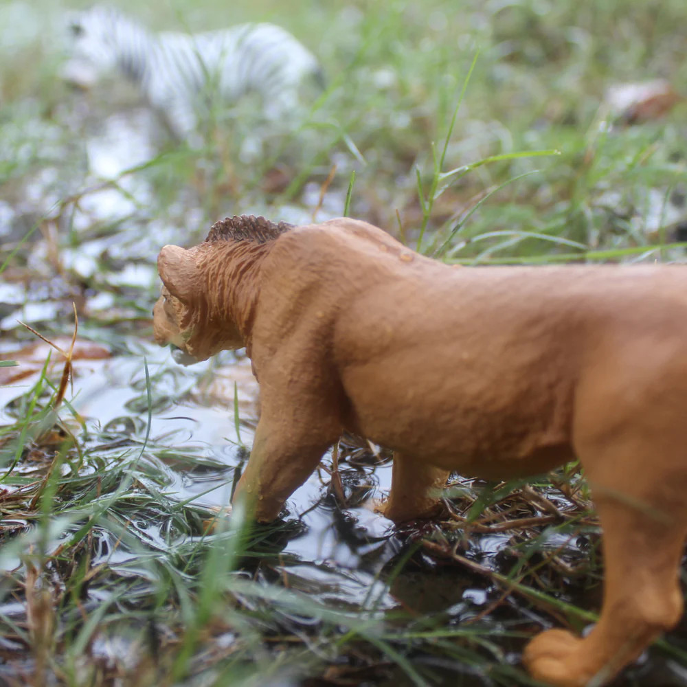 Safari Ltd. - Wild Safari Collection - Adolescent Male Lion #104992