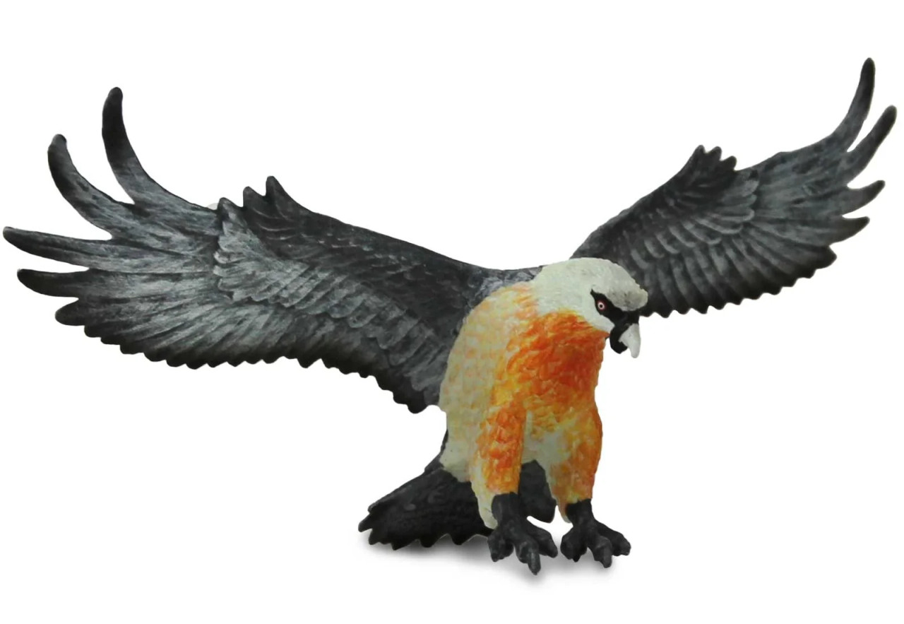 Safari Ltd. Bird of Prey - Bearded Vulture #108200