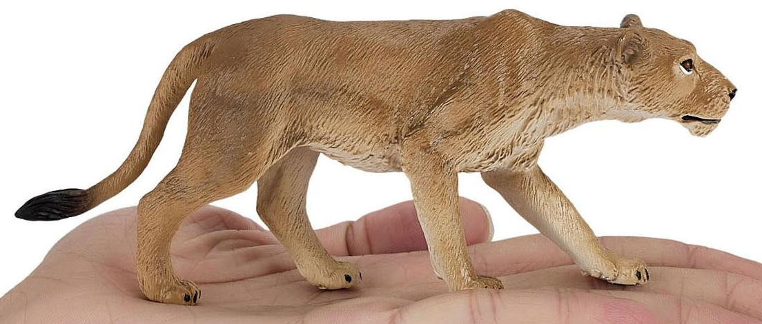 Mojo Lioness New 2025 #381071