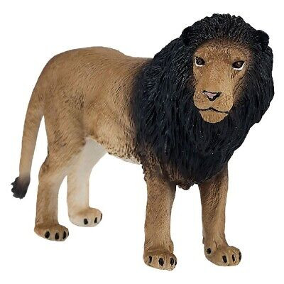 Mojo Lion New 2025 #381070