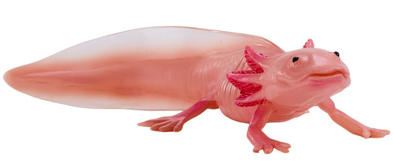 Mojo Axolotl New 2025 #381108