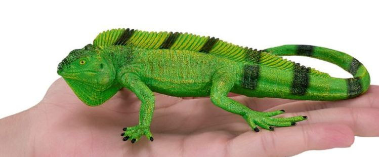 Mojo Iguana New 2025 #381095
