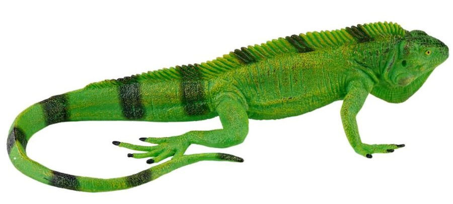 Mojo Iguana New 2025 #381095