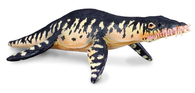 Lionctoy lionchen 龍蚕 CollectA Liopleurodon #88237 - Wacky Mouth of Teeth