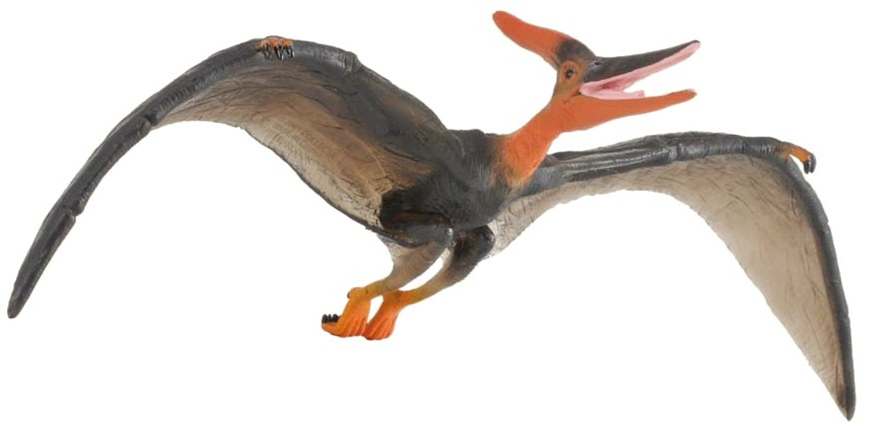 Collecta イグアノドン 6g7v4d0 88145 Collecta コレクタ イグアノドン : Raptors - 通販