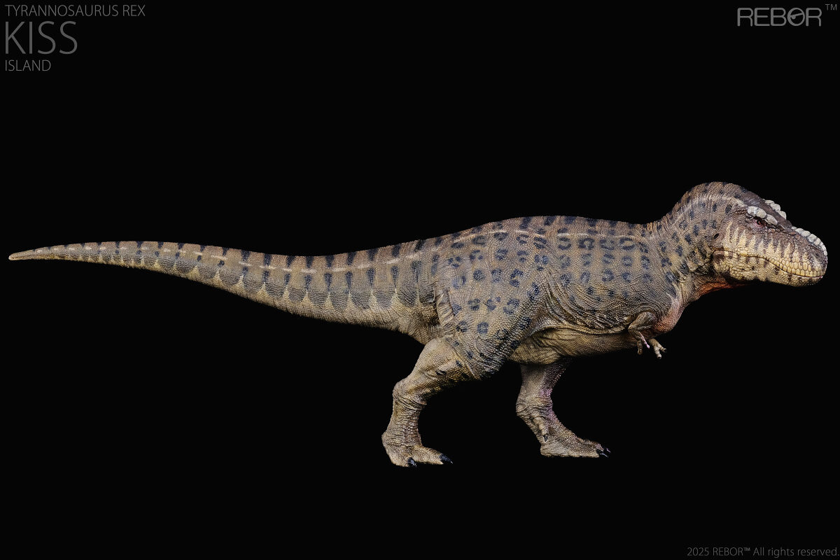 REBOR スミロドン REBOR - Tyrannosaurus rex Kiss Island #161175 - Striking Spots