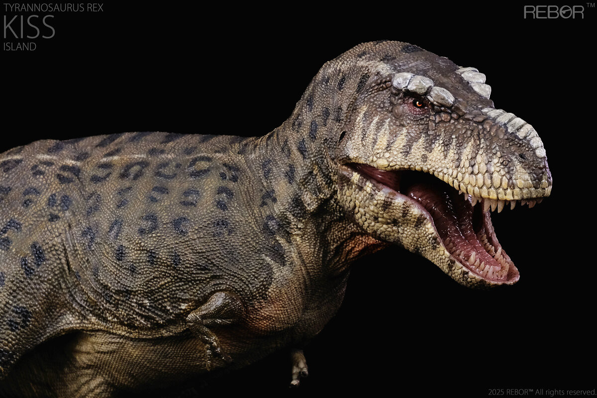 REBOR - Tyrannosaurus rex Kiss Island #161175 - Striking Spots