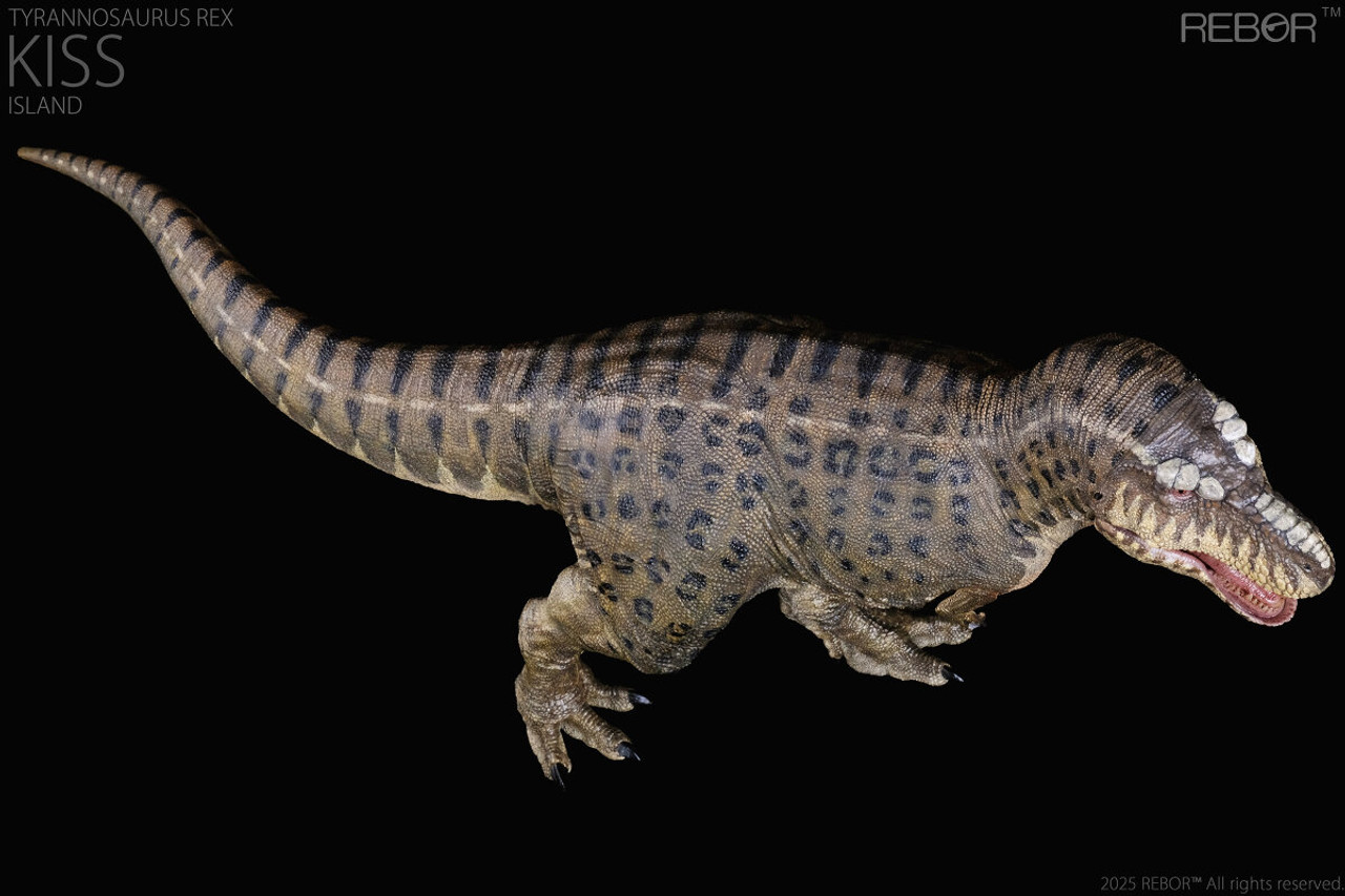 REBOR - Tyrannosaurus rex Kiss Island #161175 - Striking