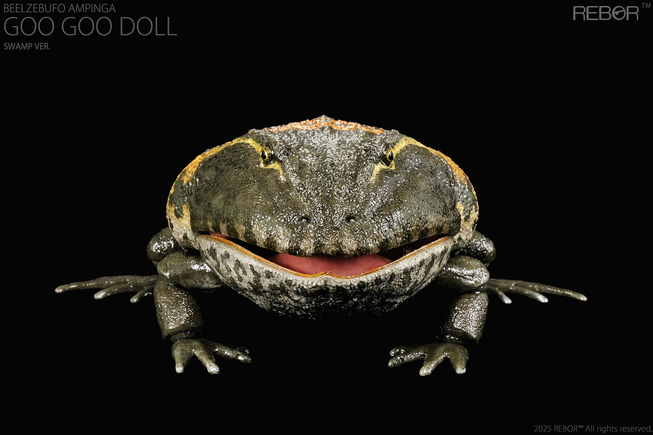 REBOR - Beelzebufo ampinga “Goo Goo Doll” Swamp Version#161182