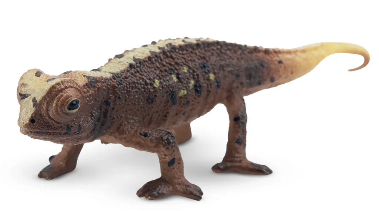Toymany - Brookesia Micra Chameleon #00418