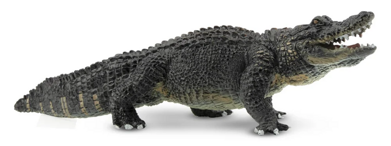 Toymany - Alligator #00321