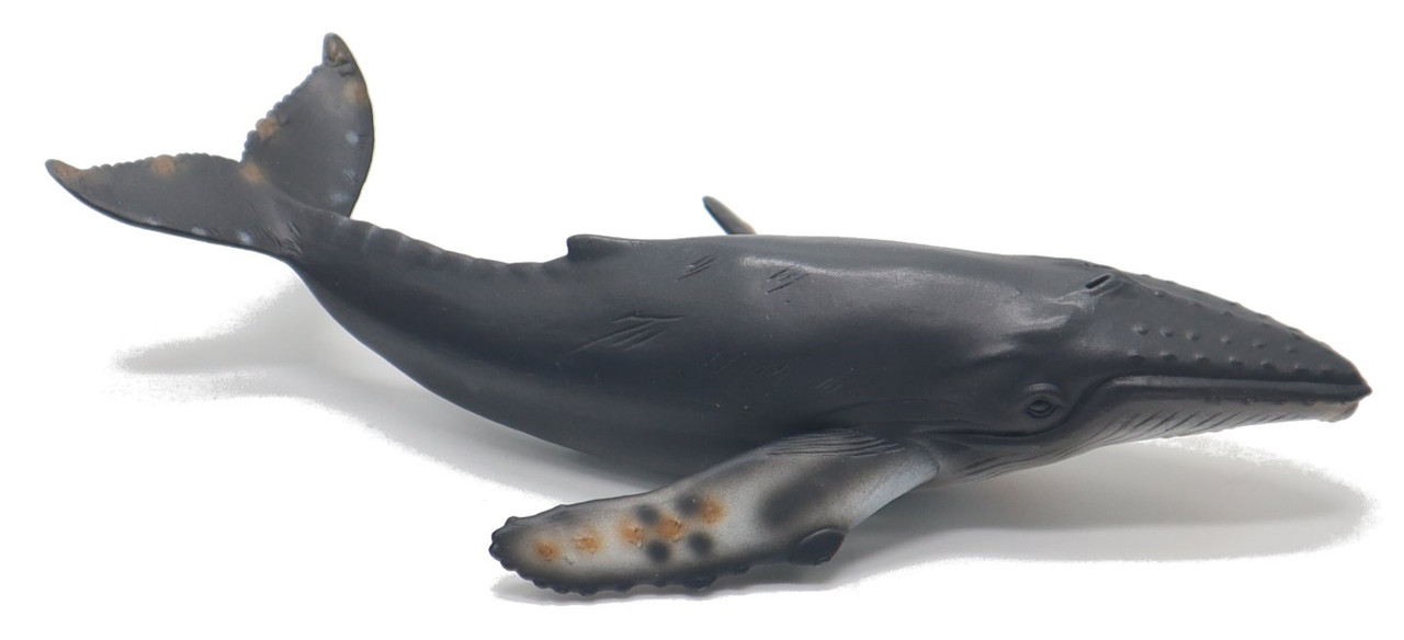 thumbnail image 2 of CollectA 88613 Pilot Whale Figurine – Realistic Marine Animal Model Toy, Brand New 2 of 6
