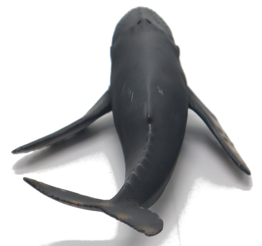 CollectA Sealife - Humpback Whale #88347 - Nice Curves/Paint