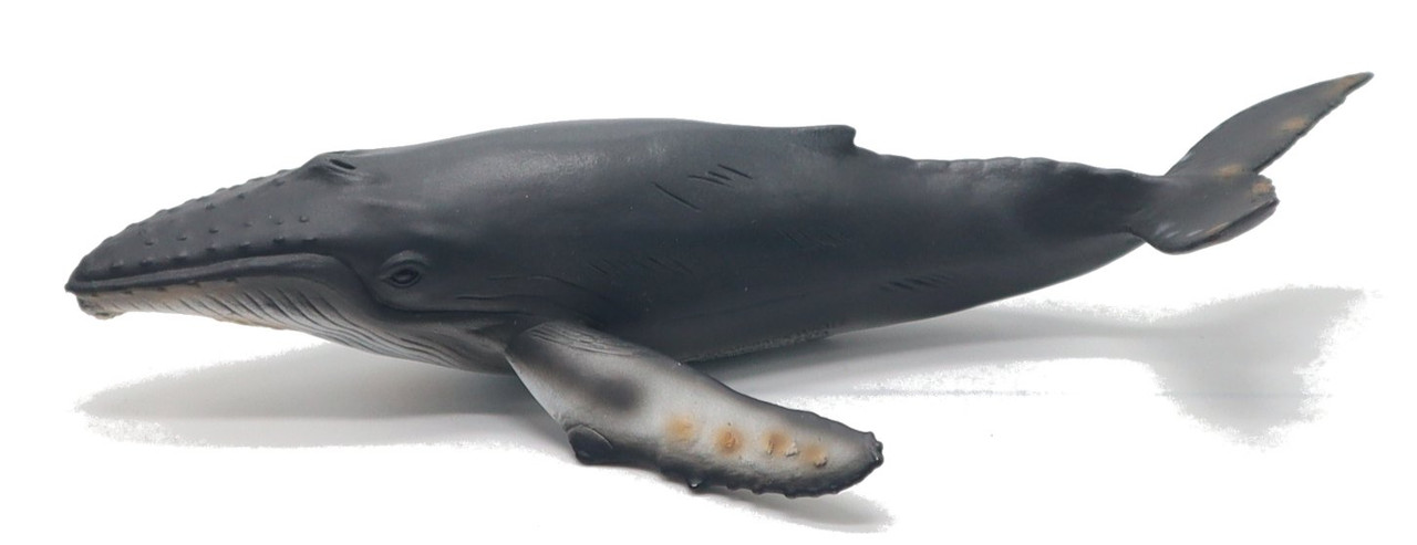 CollectA Sealife - Humpback Whale #88347 - Nice Curves/Paint