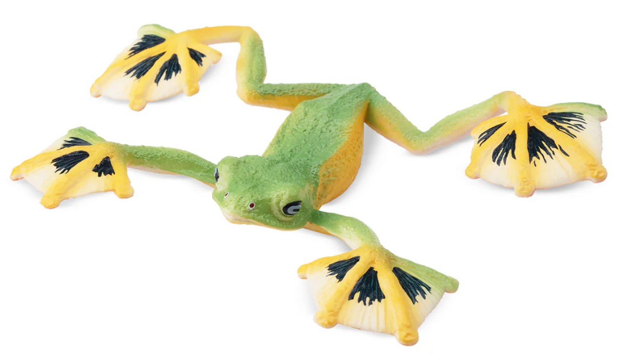 Toymany - Wallace's Flying Frog #00384
