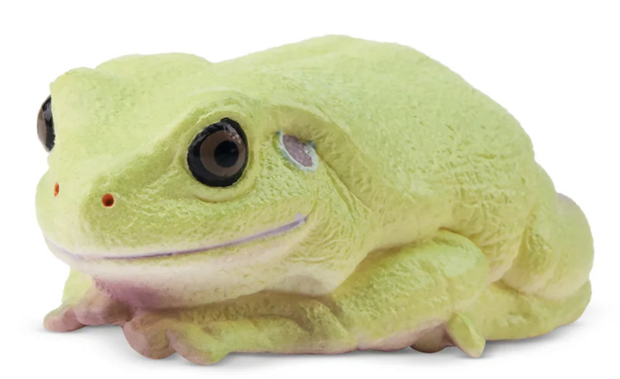 クリスマスセール‼️ヒヨコブランド　ダンガン　frog大会景品1点物⁉︎ Toymany - Australian Green Tree Frog # 00385