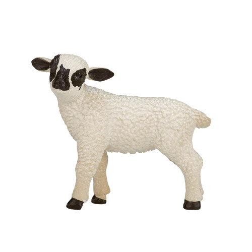 Romney Sheep Lamb Standing (Mojo)
