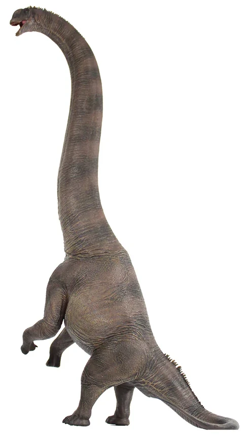 在庫整理品!HAOLONGGOODサウロポセイドン フィギュア HLG185A Haolonggood - Sauroposeidon - Heterochromatic #185C