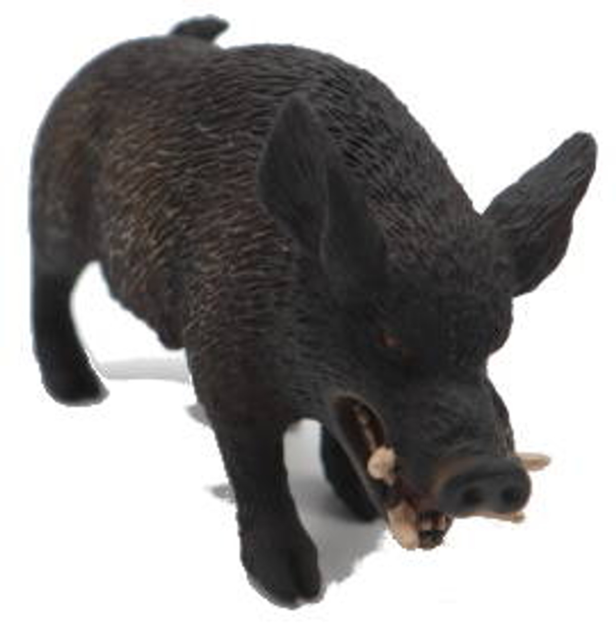 CollectA Wildlife - Wild Boar #88363 - Mean Looking Tusks