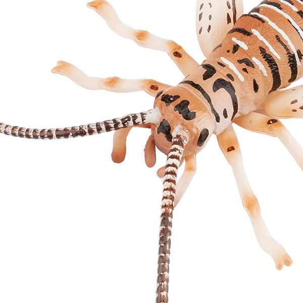 Toymany - Cricket #00429 - Realistic Insect Model for Education
