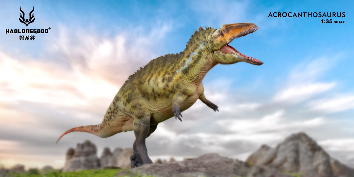 これぞ、Acantholophus 至高の頂！ Haolonggood - Acrocanthosaurus - Zhang Qing #187B
