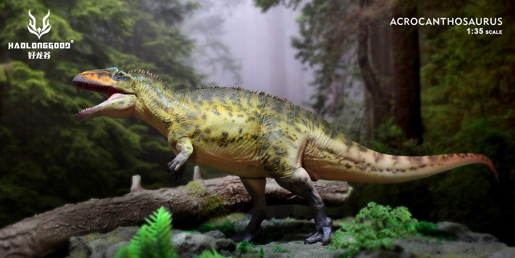 Haolonggood - Acrocanthosaurus - Zhang Qing #187B