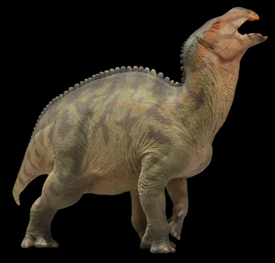 PNSO - Lanqi the Lanzhousaurus #97