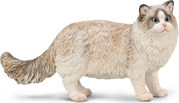 CollectA - Ragdoll #80059 - Realistic Blue-Eyed Domestic Cat Model
