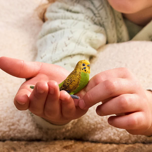 Schleich - Budgie #14939 - Pet Figure
