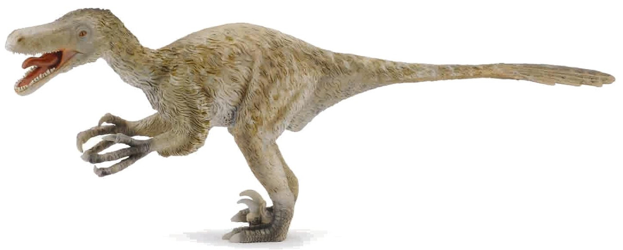 Collecta Dientes y Patas de Velociraptor Box Set