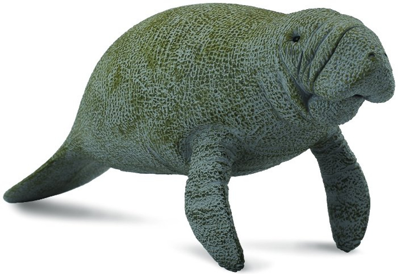 Collcta マナティ tf8su2k CollectA Sea Life - Manatee #88455 - Lethargic Sea Cow