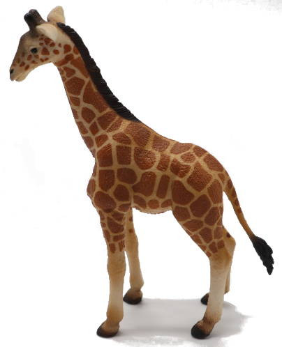 Collecta Giraffen-Figur – Wildtiere, Handbemalt, Detailgetreu, Für Spiel & Sammlung